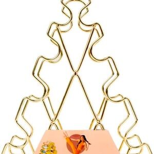 Blogilates 4-Tier Weight Rack - BRAND NEW